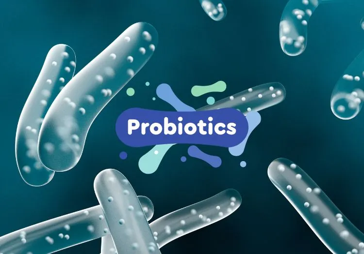 Hệ lợi khuẩn hỗ trợ tiêu hóa (Probiotics)